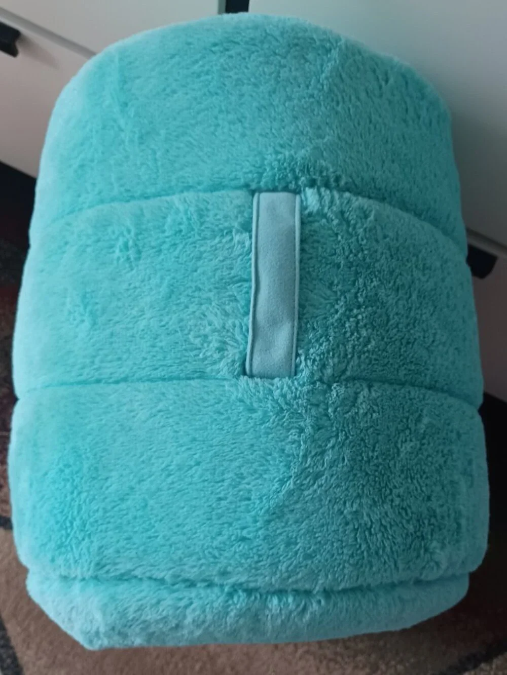 Best friends plush turquoise cat bed